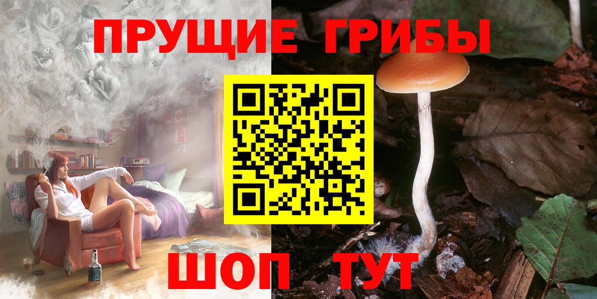 Псилоцибиновые грибы Psilocybine cubensis  Вход с VPN  Костомукша 