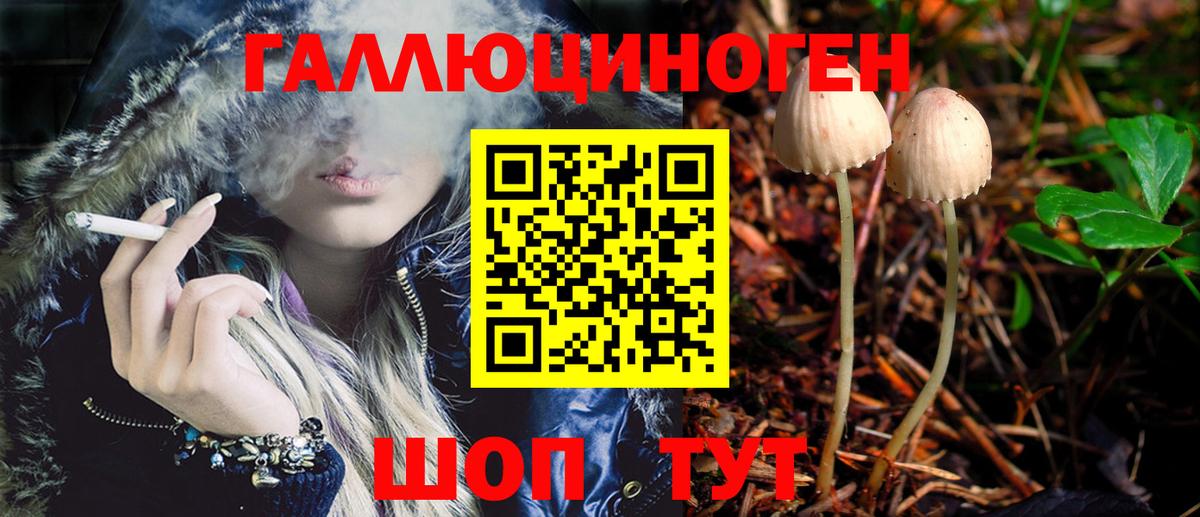 Псилоцибиновые грибы Psilocybe Костомукша
